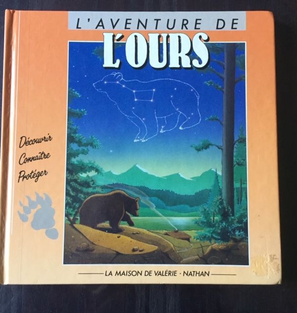 l_aventure_de_l_ours